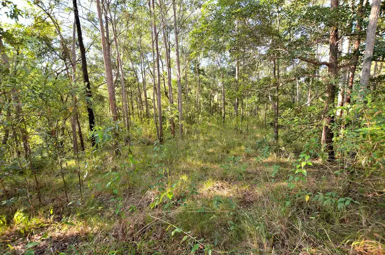Sixth view of Homely land listing, 62 Rambert Road, Eudlo QLD 4554