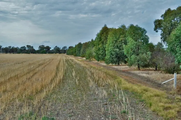 Second view of Homely rural property listing, Lot 3 Cornishtown Road, Rutherglen VIC 3685