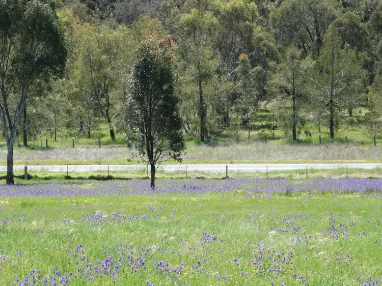Fifth view of Homely land listing, 1600 Murray River Road, Talgarno VIC 3691