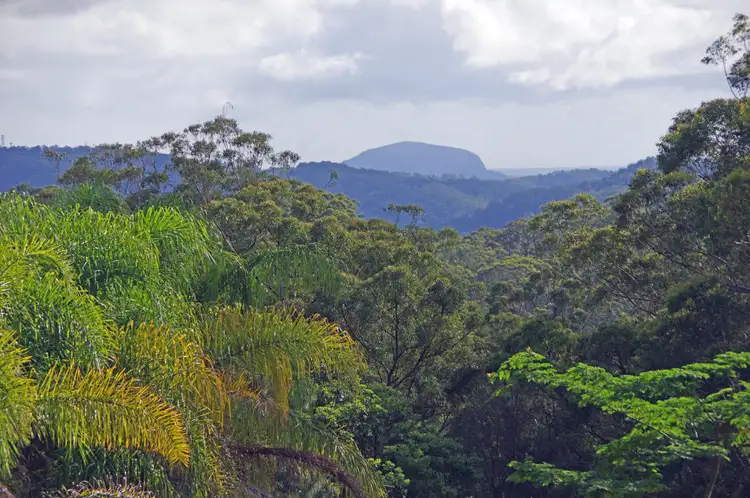 Third view of Homely land listing, 160 Carruthers Road, Towen Mountain QLD 4560
