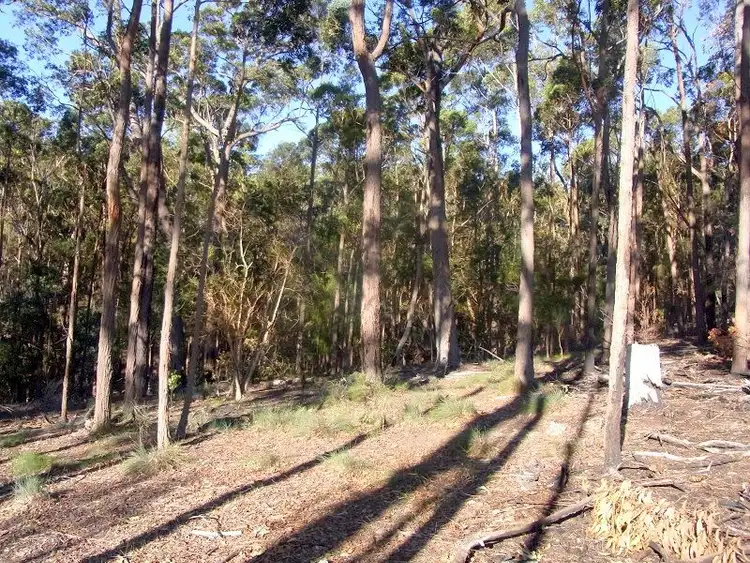 Second view of Homely rural property listing, L88 Oaklands Road, Pambula NSW 2549