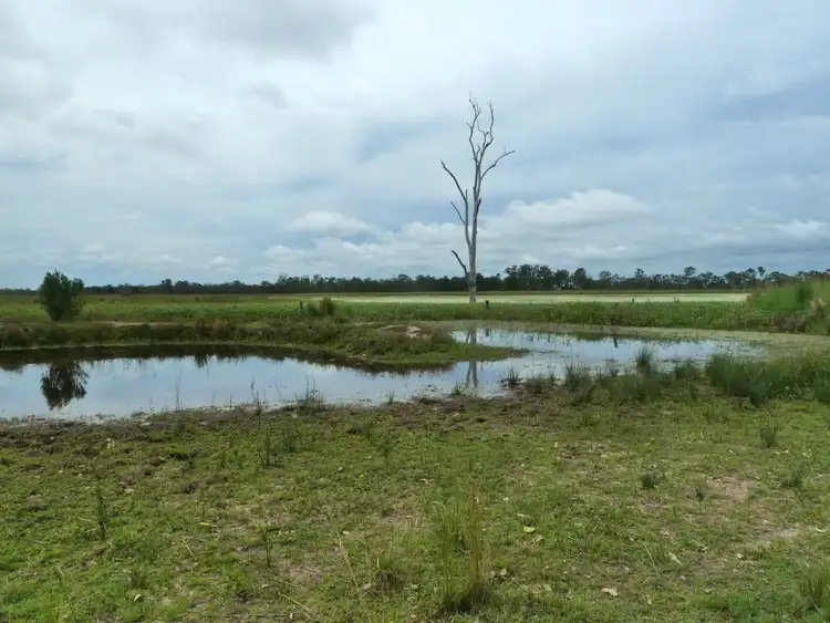 Second view of Homely rural property listing, 1015 Bidwill Road, Bidwill QLD 4650