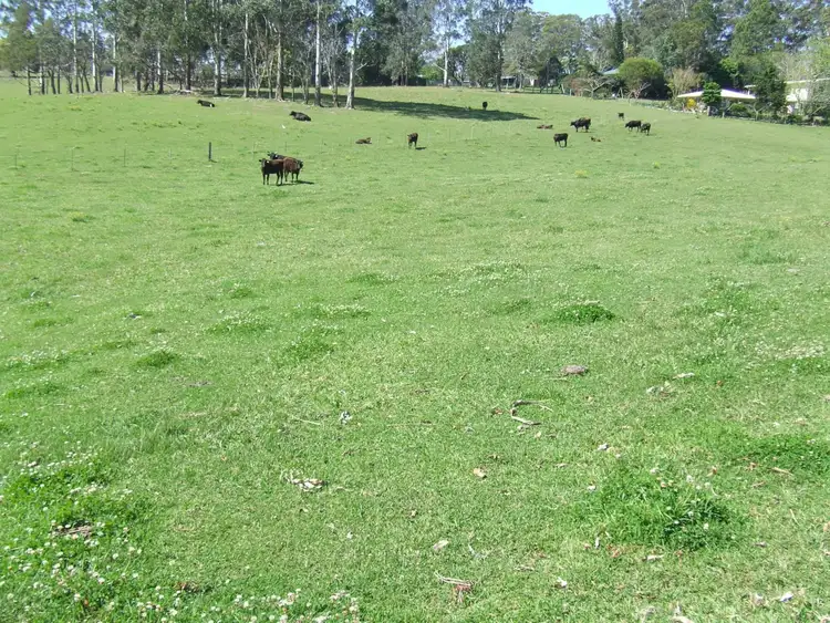 Second view of Homely rural property listing, Lot 220 Mardells Road, Bucca, Coffs Harbour NSW 2450