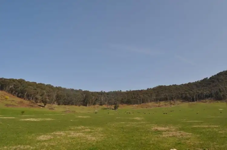 Third view of Homely rural property listing, . Smythes Road, Eskdale VIC 3701