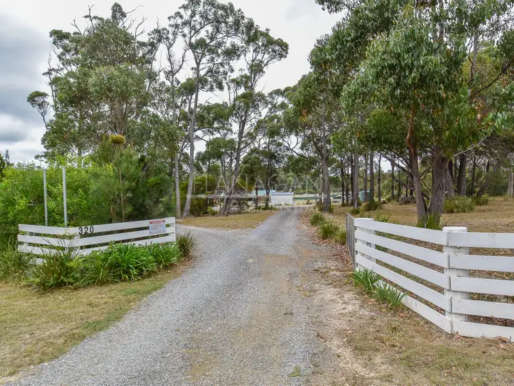 Fourth view of Homely rural property listing, 320 Badger Head Road, Badger Head TAS 7270