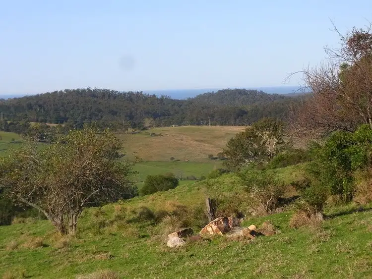 Second view of Homely rural property listing, L4 Mine Road, Lochiel NSW 2549