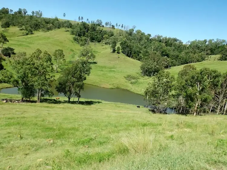 Second view of Homely rural property listing, 62 Nicholls Rd, Mummulgum NSW 2469