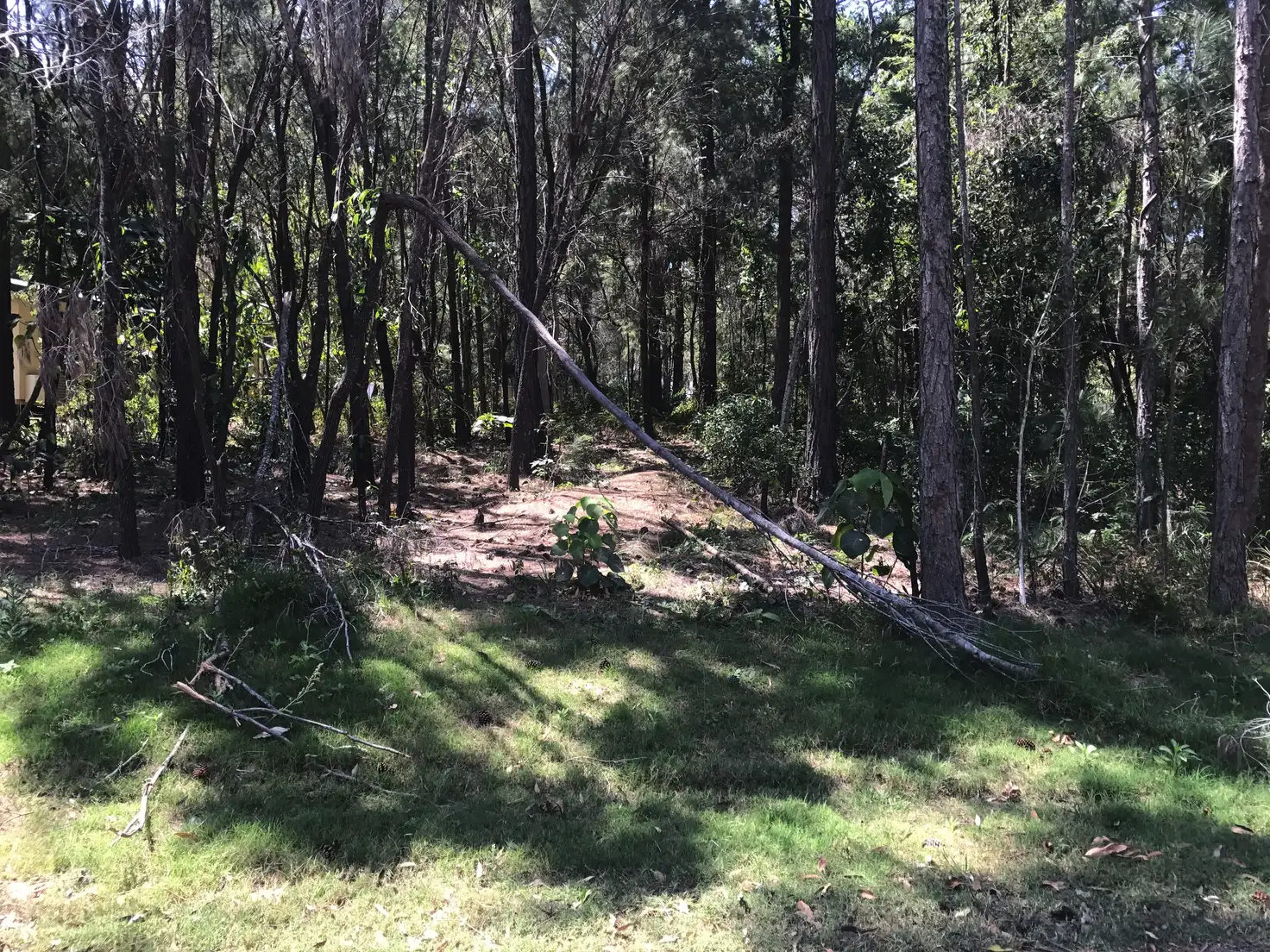 Main view of Homely land listing, 30 Arthur St, Macleay Island QLD 4184
