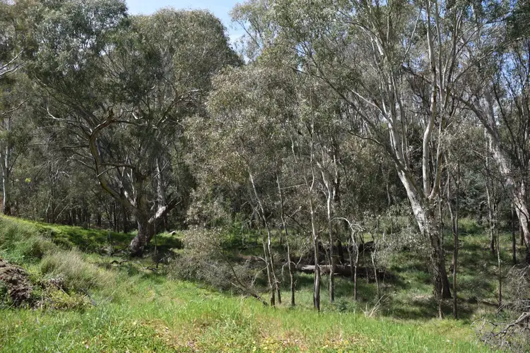Fourth view of Homely land listing, 100 River Rd, Murchison VIC 3610