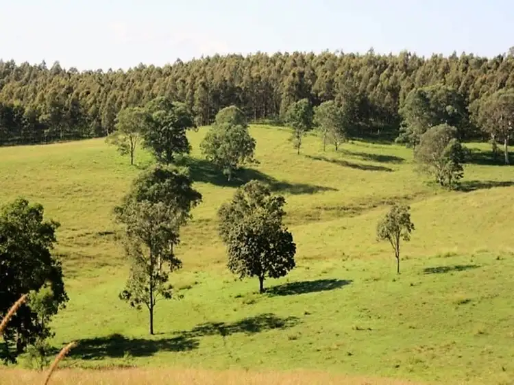 Third view of Homely rural property listing, 263 Dunns Rd, Doubtful Creek NSW 2470