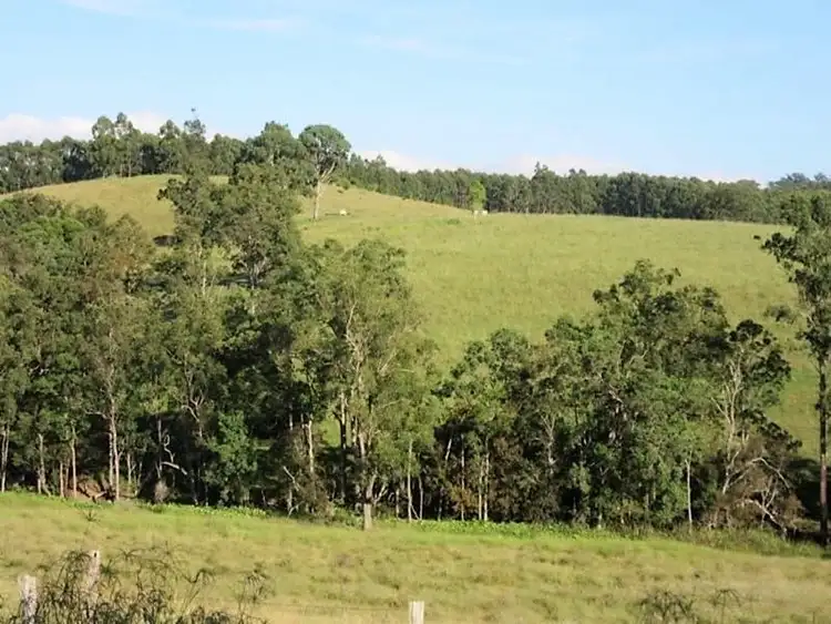 Fourth view of Homely rural property listing, 263 Dunns Rd, Doubtful Creek NSW 2470