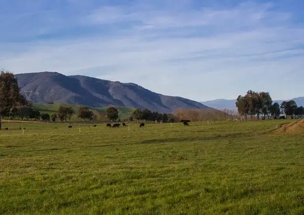 Fifth view of Homely rural property listing, 2412 Murray Valley Highway, Cudgewa VIC 3705