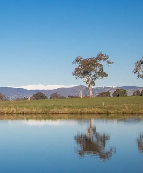 Sixth view of Homely rural property listing, 2412 Murray Valley Highway, Cudgewa VIC 3705