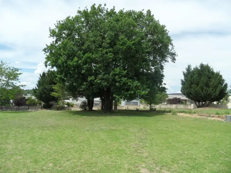 Third view of Homely house listing, 31 Pierpoint St, Stanthorpe QLD 4380