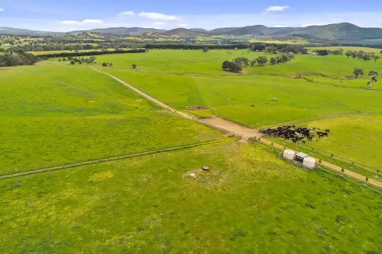 Main view of Homely rural property listing, 49 Mt Eliza Road, Kerrie VIC 3434
