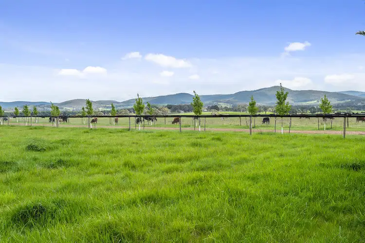 Third view of Homely rural property listing, 49 Mt Eliza Road, Kerrie VIC 3434