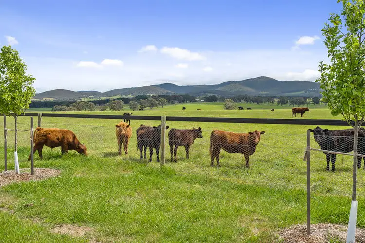 Seventh view of Homely rural property listing, 49 Mt Eliza Road, Kerrie VIC 3434