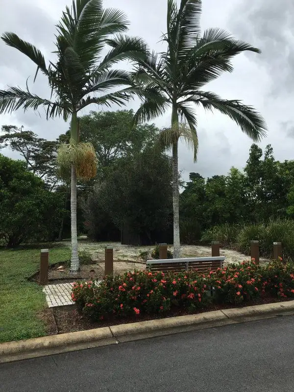 Sixth view of Homely land listing, 3 Lani Close, Mission Beach QLD 4852