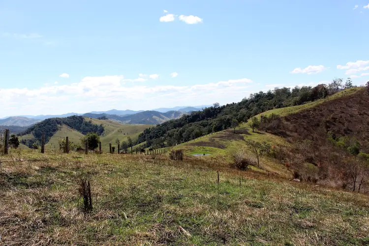 Main view of Homely rural property listing, 595 Dees Road, Belbora NSW 2422