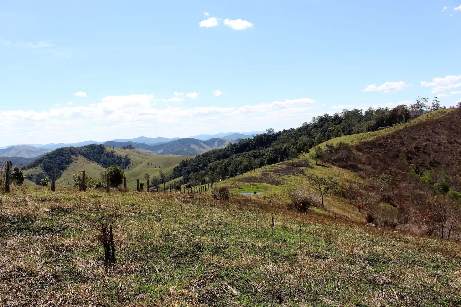 Main view of Homely rural property listing, 595 Dees Road, Belbora NSW 2422