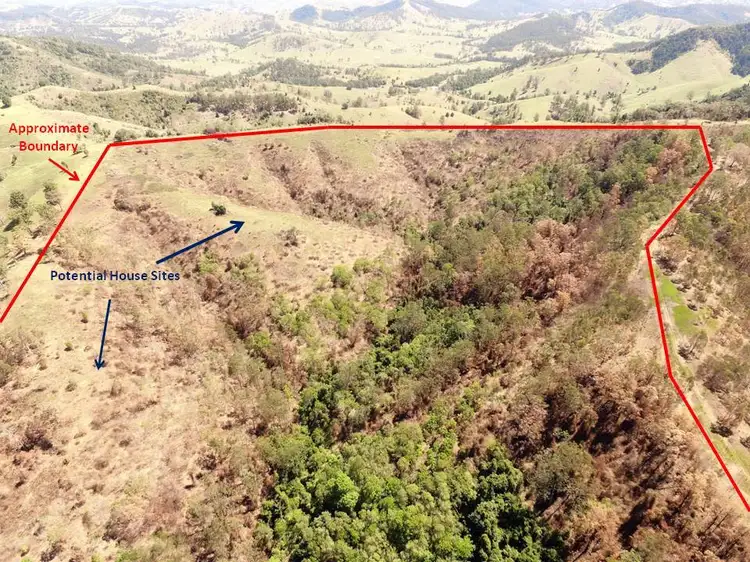 Second view of Homely rural property listing, 595 Dees Road, Belbora NSW 2422