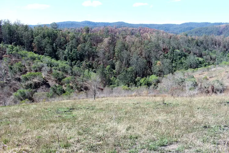 Third view of Homely rural property listing, 595 Dees Road, Belbora NSW 2422