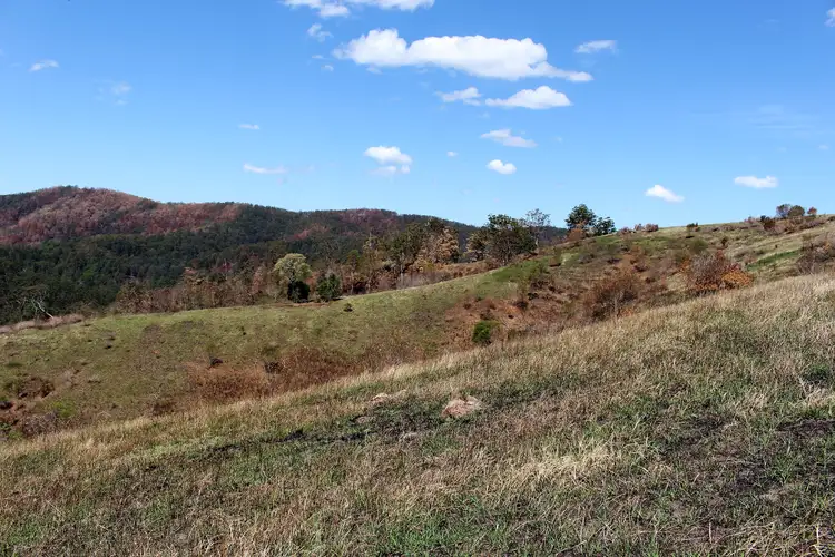 Fourth view of Homely rural property listing, 595 Dees Road, Belbora NSW 2422