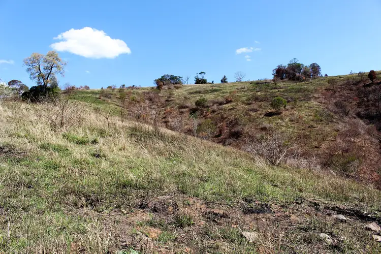 Sixth view of Homely rural property listing, 595 Dees Road, Belbora NSW 2422