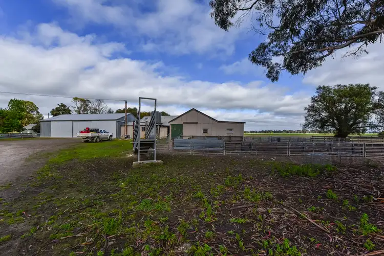 Fourth view of Homely rural property listing, 917 Old Kalangadoo-penola Rd, Moerlong SA 5278