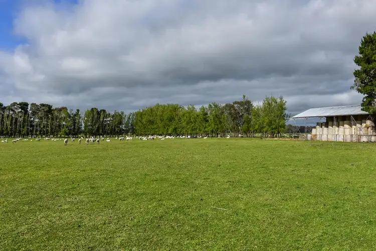 Fifth view of Homely rural property listing, 917 Old Kalangadoo-penola Rd, Moerlong SA 5278