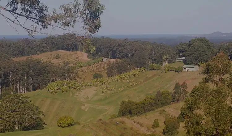 Fifth view of Homely house listing, 92 Richards Rd, Newee Creek NSW 2447