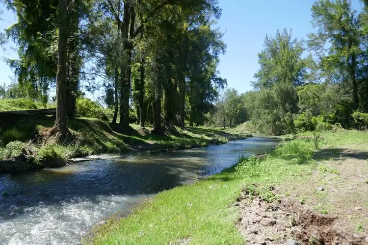 659 Upper Eden Creek Road, Kyogle NSW 2474