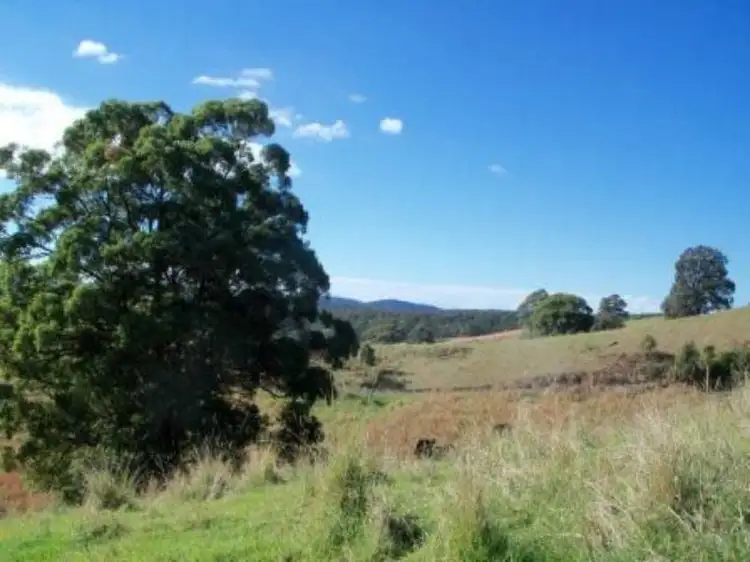 Main view of Homely rural property listing, 485 Wattley Hill Road, Wootton NSW 2423
