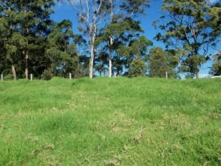 Fifth view of Homely rural property listing, 485 Wattley Hill Road, Wootton NSW 2423