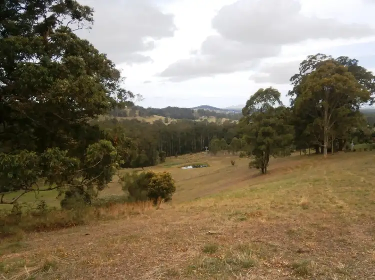 559 Minimbah Road, Nabiac NSW 2312