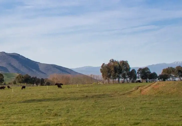 Sixth view of Homely rural property listing, 5/2412 Murray Valley Hwy, Cudgewa VIC 3705