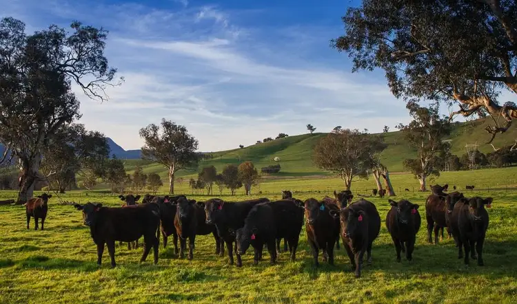 Seventh view of Homely rural property listing, 5/2412 Murray Valley Hwy, Cudgewa VIC 3705