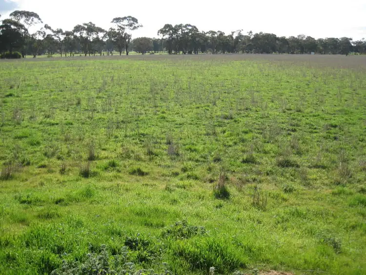 Second view of Homely rural property listing, 49 & 49a, Section U Harpers Lane, Wedderburn VIC 3518