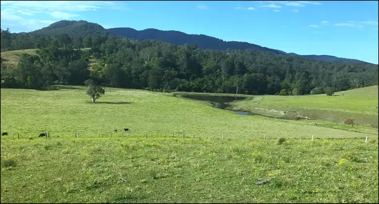 Third view of Homely rural property listing, 20 Grants Rd, Wards River NSW 2422