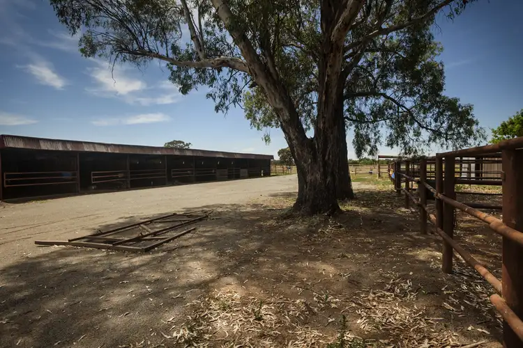 Fourth view of Homely rural property listing, 7430 Goulburn Valley Highway, Kialla West VIC 3631