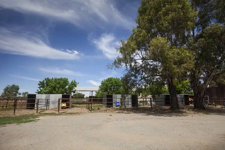 Fifth view of Homely rural property listing, 7430 Goulburn Valley Highway, Kialla West VIC 3631