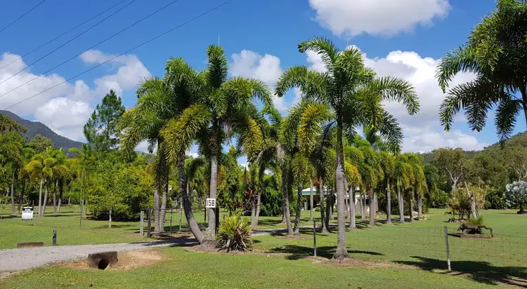 158 Stony Creek Road, Cardwell QLD 4849