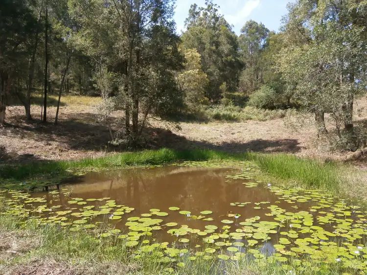 Seventh view of Homely rural property listing, 470 Candoormakh Creek Rd, Nabiac NSW 2312