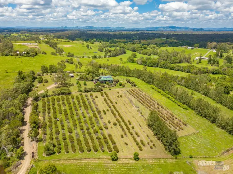Third view of Homely rural property listing, 151 Tatnell Road, North Deep Creek QLD 4570