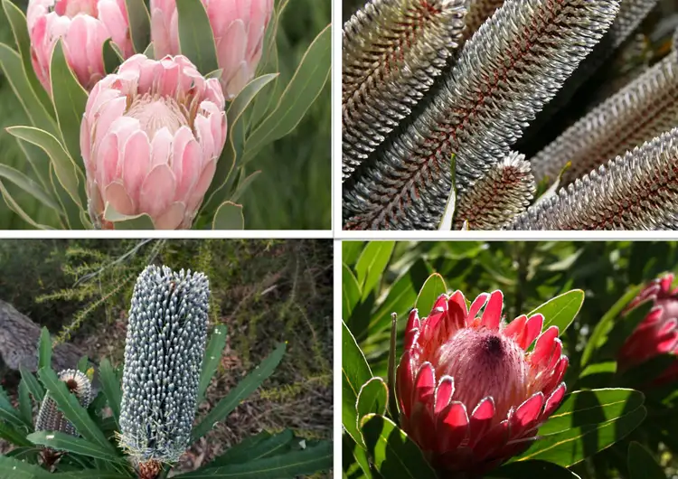 Fourth view of Homely rural property listing, 151 Tatnell Road, North Deep Creek QLD 4570