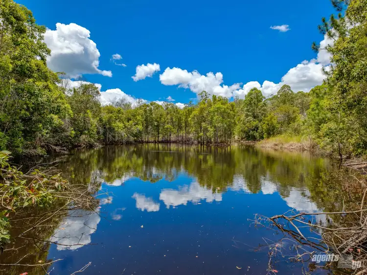 Fifth view of Homely rural property listing, 151 Tatnell Road, North Deep Creek QLD 4570