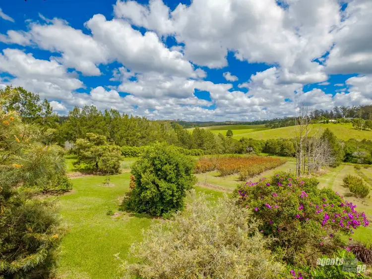 Seventh view of Homely rural property listing, 151 Tatnell Road, North Deep Creek QLD 4570