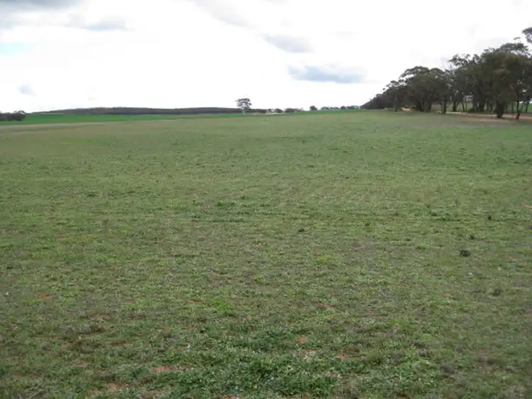 Fifth view of Homely rural property listing, CA 30 & 31 Cnr Hewitt Road & Maxwells Lane, Korong Vale VIC 3520