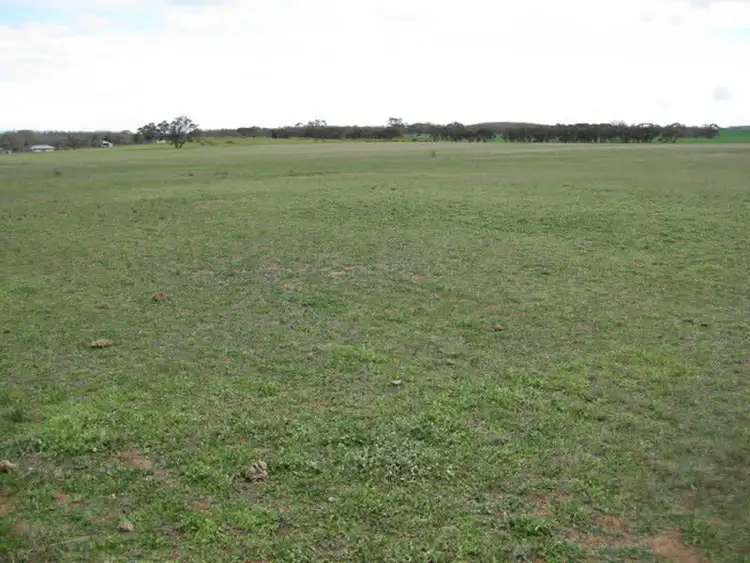 Sixth view of Homely rural property listing, CA 30 & 31 Cnr Hewitt Road & Maxwells Lane, Korong Vale VIC 3520