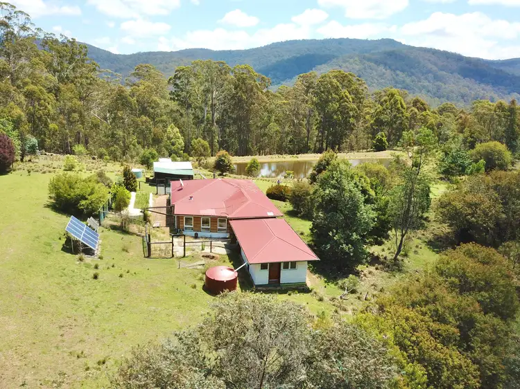 Fourth view of Homely rural property listing, 535 Devils Hole Rd, Wyndham NSW 2550